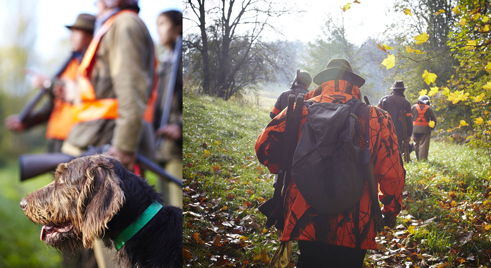 Photo reportage Pierre Chivoret France  scéne de chasse