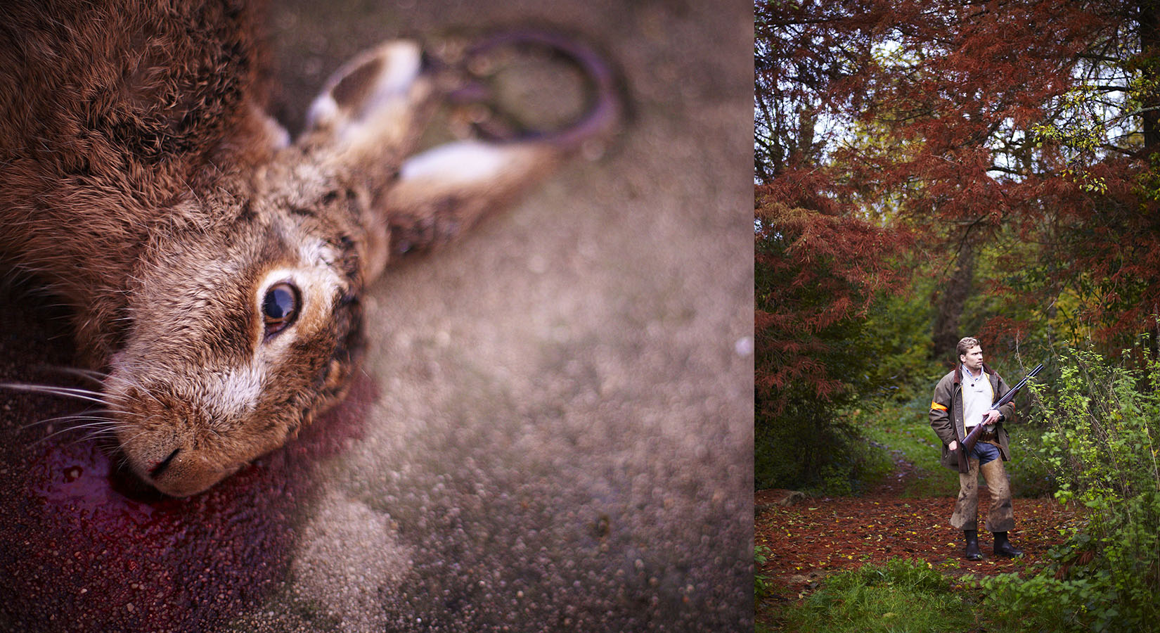 Photo reportage Pierre Chivoret France  scéne de chasse