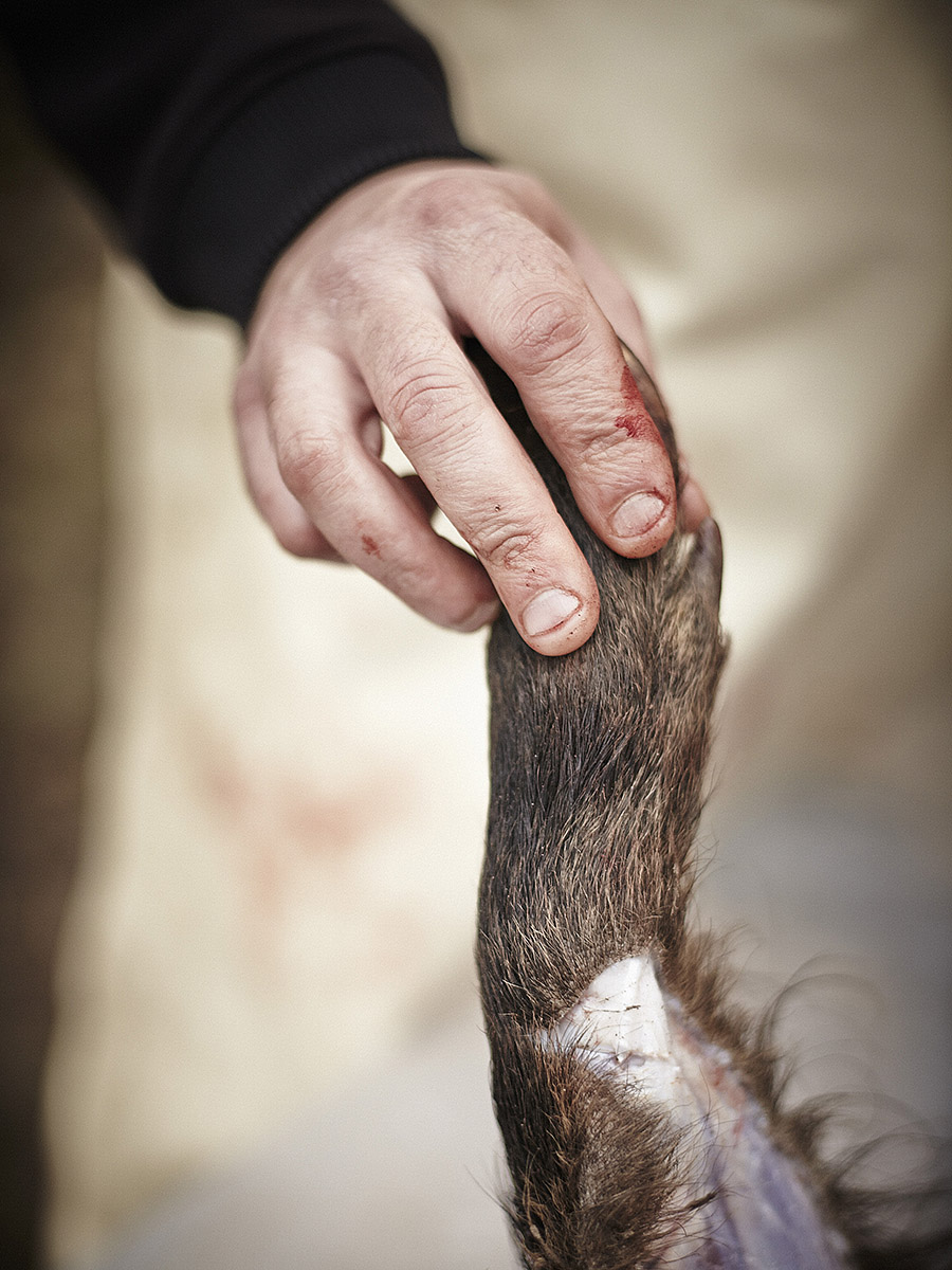 Photo reportage Pierre Chivoret France  scène de chasse découpe