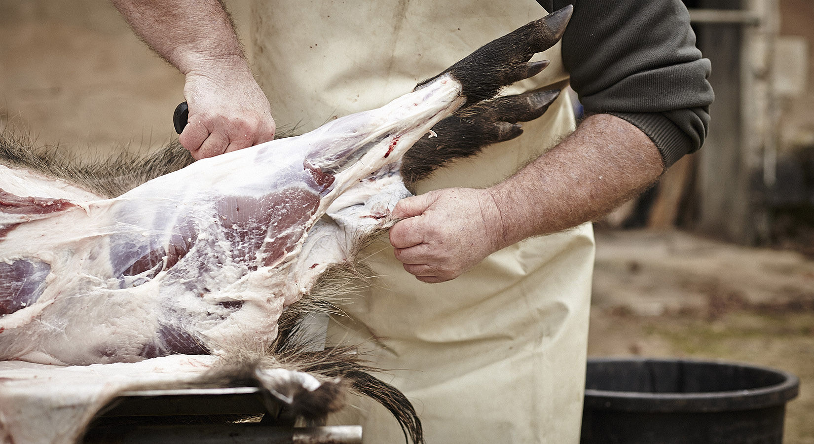 Photo reportage Pierre Chivoret France  scène de chasse découpe